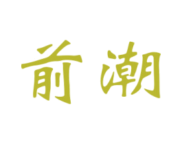 前潮 第27类地毯席垫商标图样