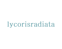 LYCORISRADIATA 第26类花边配饰商标图样