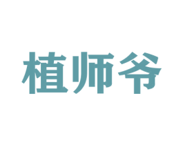 植师爷 第26类花边配饰商标图样