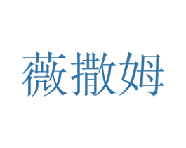 薇撒姆 第25类服装鞋帽商标图样