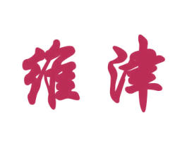 维津 第18类皮革箱包商标图样