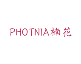 楠花 PHOTINIA 第20类家具商标图样