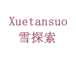 雪探索 第12类运输工具商标图样