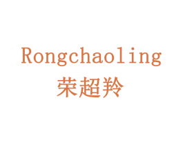 荣超羚 第21类厨房洁具商标图样