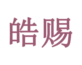 皓赐 第9类科学仪器商标图样