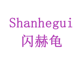 闪赫龟 第9类科学仪器商标图样