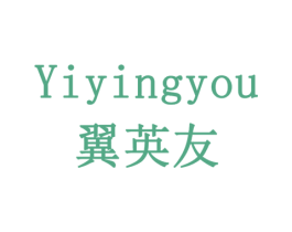 翼英友 第9类科学仪器商标图样