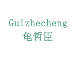 GUIZHECHENG 龟哲臣 第10类医疗器械商标图样