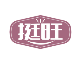 挺旺 第36类金融物管商标图样