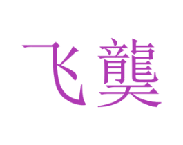 飞龑 第42类技术服务商标图样