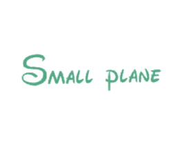 SMALL PLANE 第25类服装鞋帽商标图样