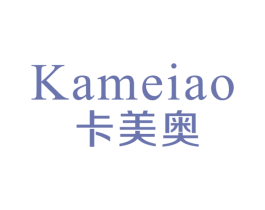 卡美奥 第9类科学仪器商标图样