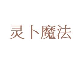 灵卜魔法 第25类服装鞋帽商标图样