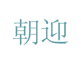 朝迎 第28类体育玩具商标图样