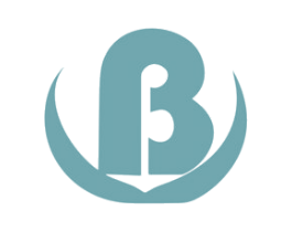 B 第12类运输工具商标图样