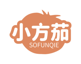 小方茄 SOFUNQIE 第9类科学仪器商标图样