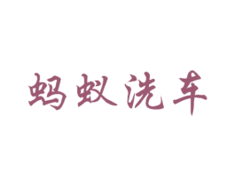 蚂蚁洗车 第9类科学仪器商标图样