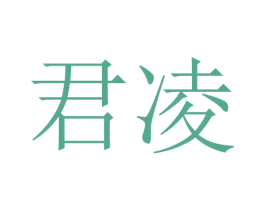 君凌 第16类办公工具商标图样