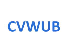 CVWUB 第14类珠宝钟表商标图样