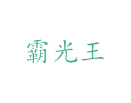 霸光王 第17类橡胶制品商标图样