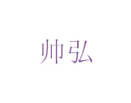 帅弘 第17类橡胶制品商标图样