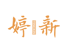 婷新 第25类服装鞋帽商标图样