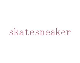 SKATESNEAKER 第20类家具商标图样