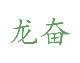 龙奋 第12类运输工具商标图样