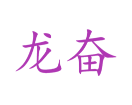 龙奋 第39类运输旅行商标图样
