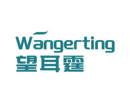 望耳霆 第9类科学仪器商标图样
