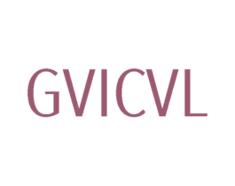 GVICVL 第25类服装鞋帽商标图样