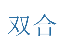 双合 第18类皮革箱包商标图样