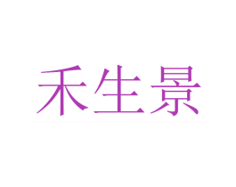 禾生景 第27类地毯席垫商标图样