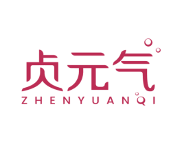 贞元气 第5类医药商标图样