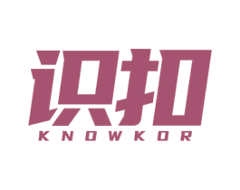 识扣 KNOWKOR 第9类科学仪器商标图样