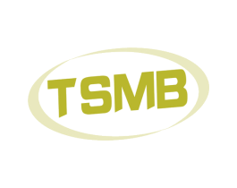 TSMB 第9类科学仪器商标图样