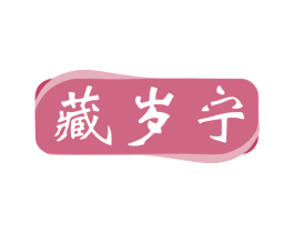 藏岁宁 第10类医疗器械商标图样