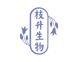 枝升生物 第10类医疗器械商标图样