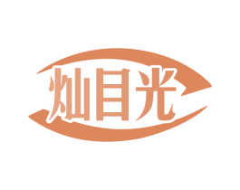 灿目光 第10类医疗器械商标图样