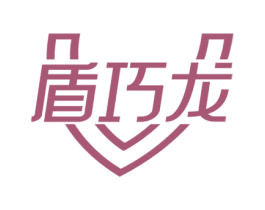 盾巧龙 第9类科学仪器商标图样
