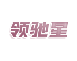 领驰星 第25类服装鞋帽商标图样