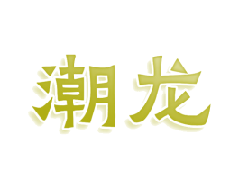 潮龙 第3类化妆品商标图样