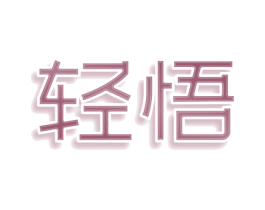 轻悟 第9类科学仪器商标图样