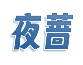 夜蔷 第9类科学仪器商标图样