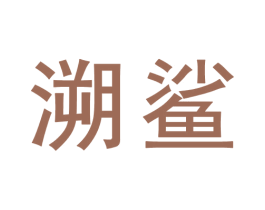 溯鲨 第9类科学仪器商标图样