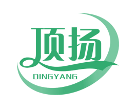 顶扬 第21类厨房洁具商标图样