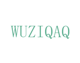 WUZIQAQ 第9类科学仪器商标图样