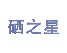 硒之星 第42类技术服务商标图样