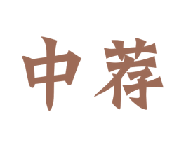 中荐 第42类技术服务商标图样