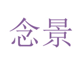 念景 第21类厨房洁具商标图样